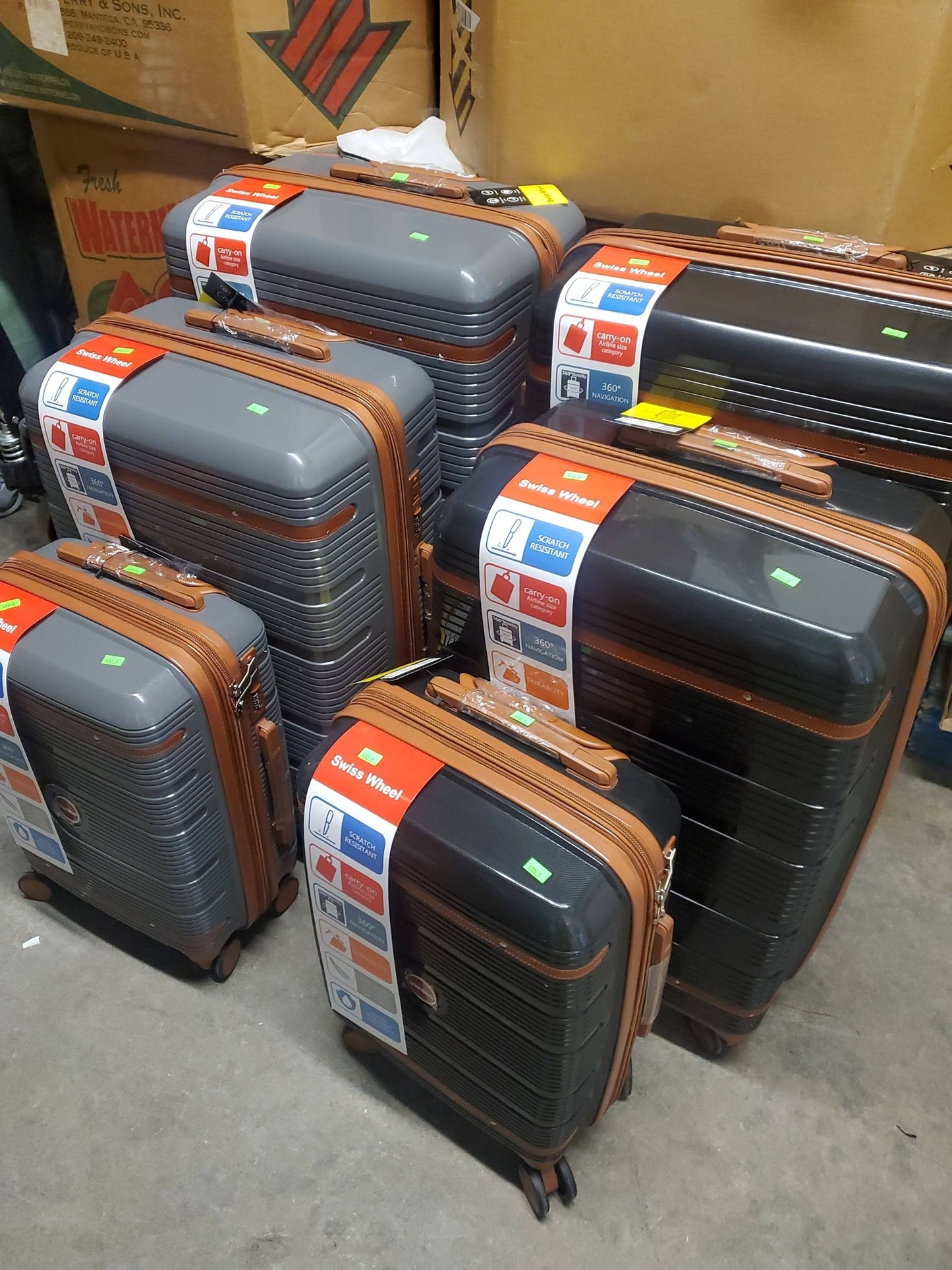 Luggage Carry On Suitcase Spinner Hardshell Lightweight "19