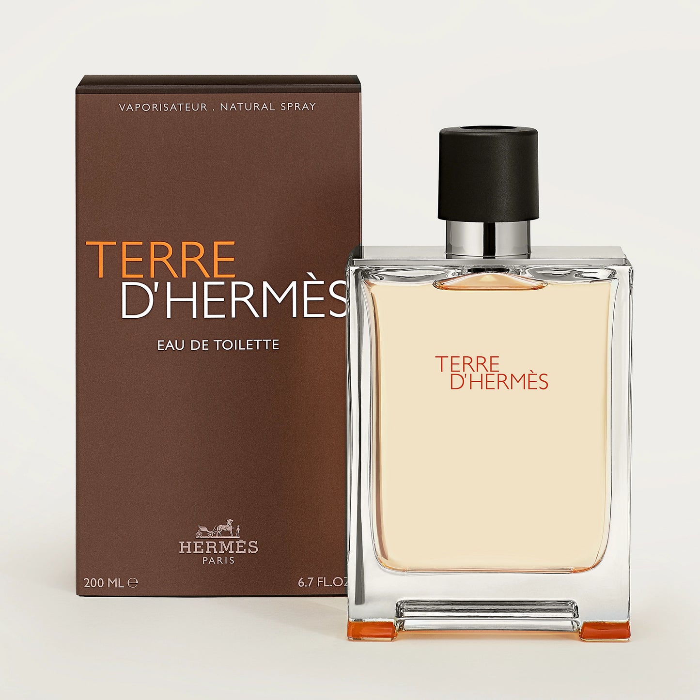 Hermès Terre d’Hermès – EDT 100 ml (Men)