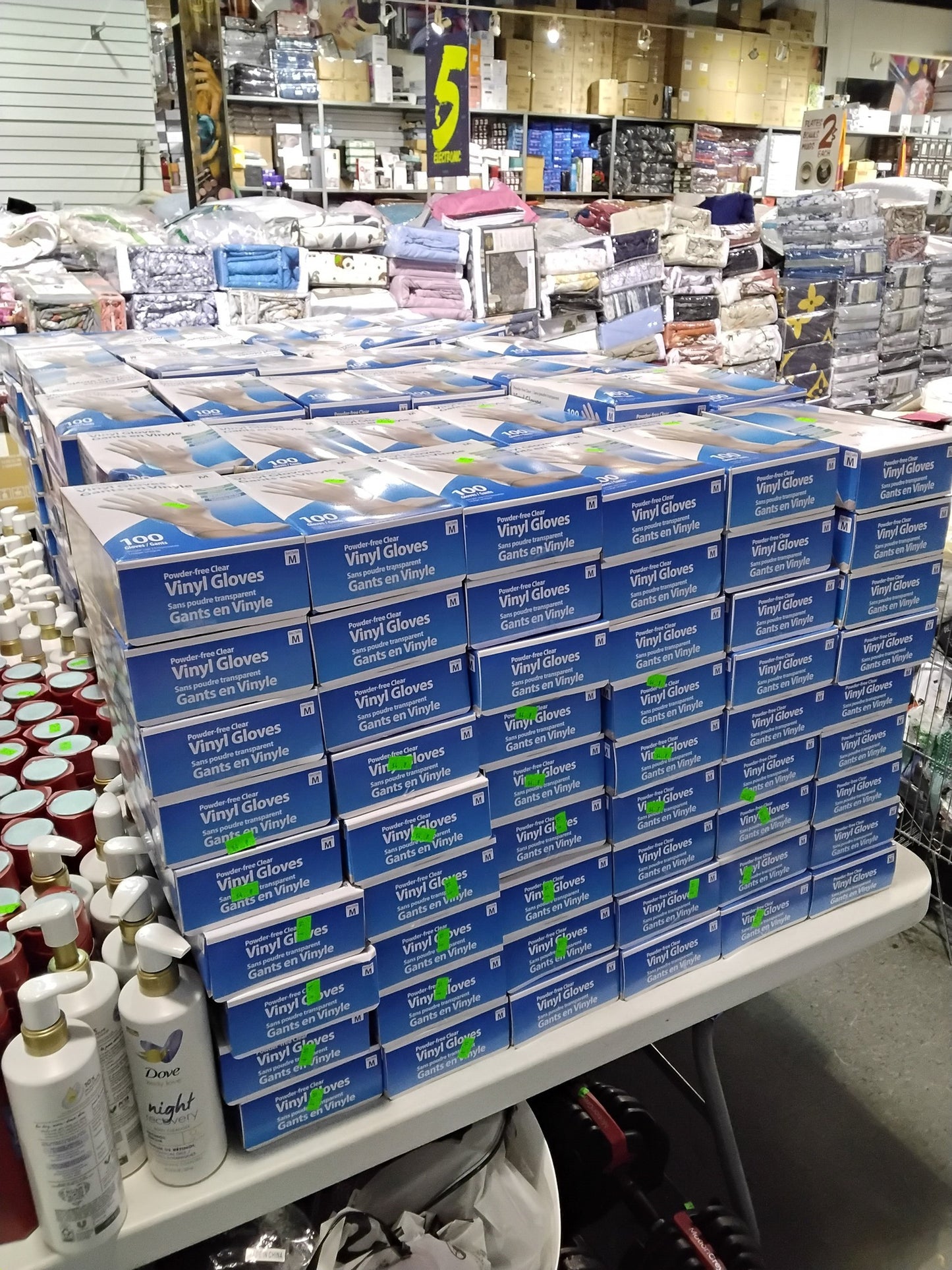 Disposable Powder-Free Clear Vinyl Gloves