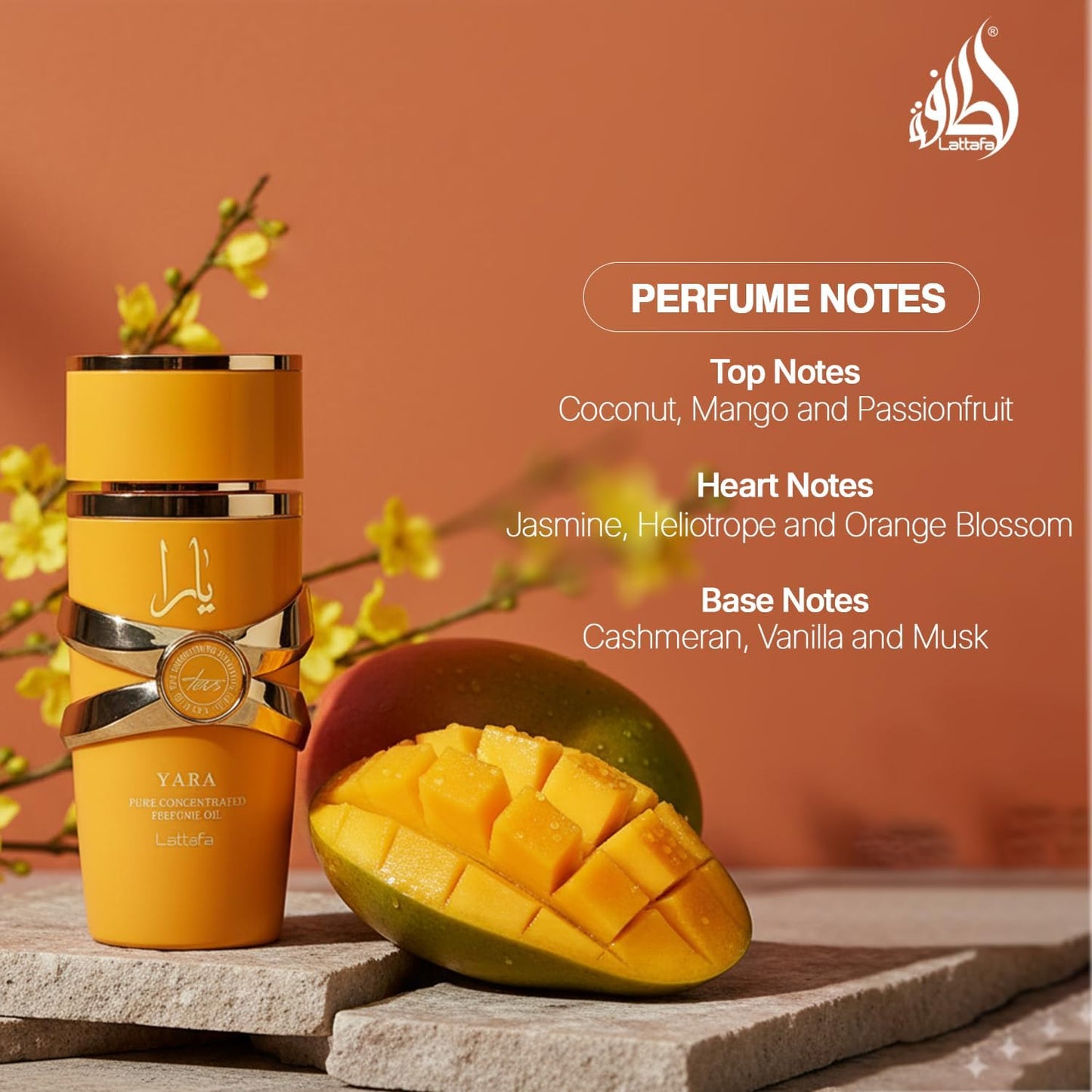 Lattafa Yara Tous – Pure Concentrated Perfume Oil