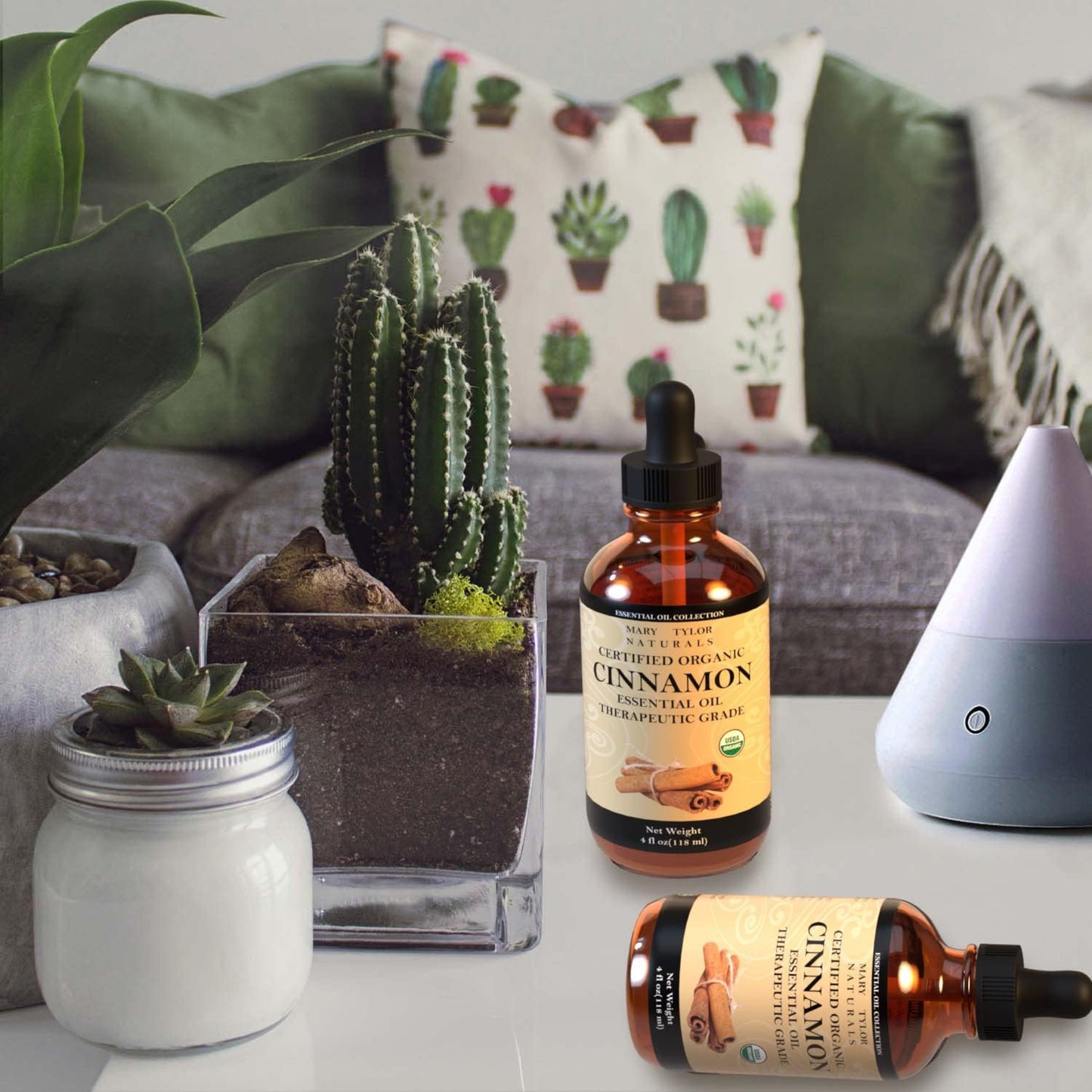 Organic Cinnamon Essential Oil (4 oz)