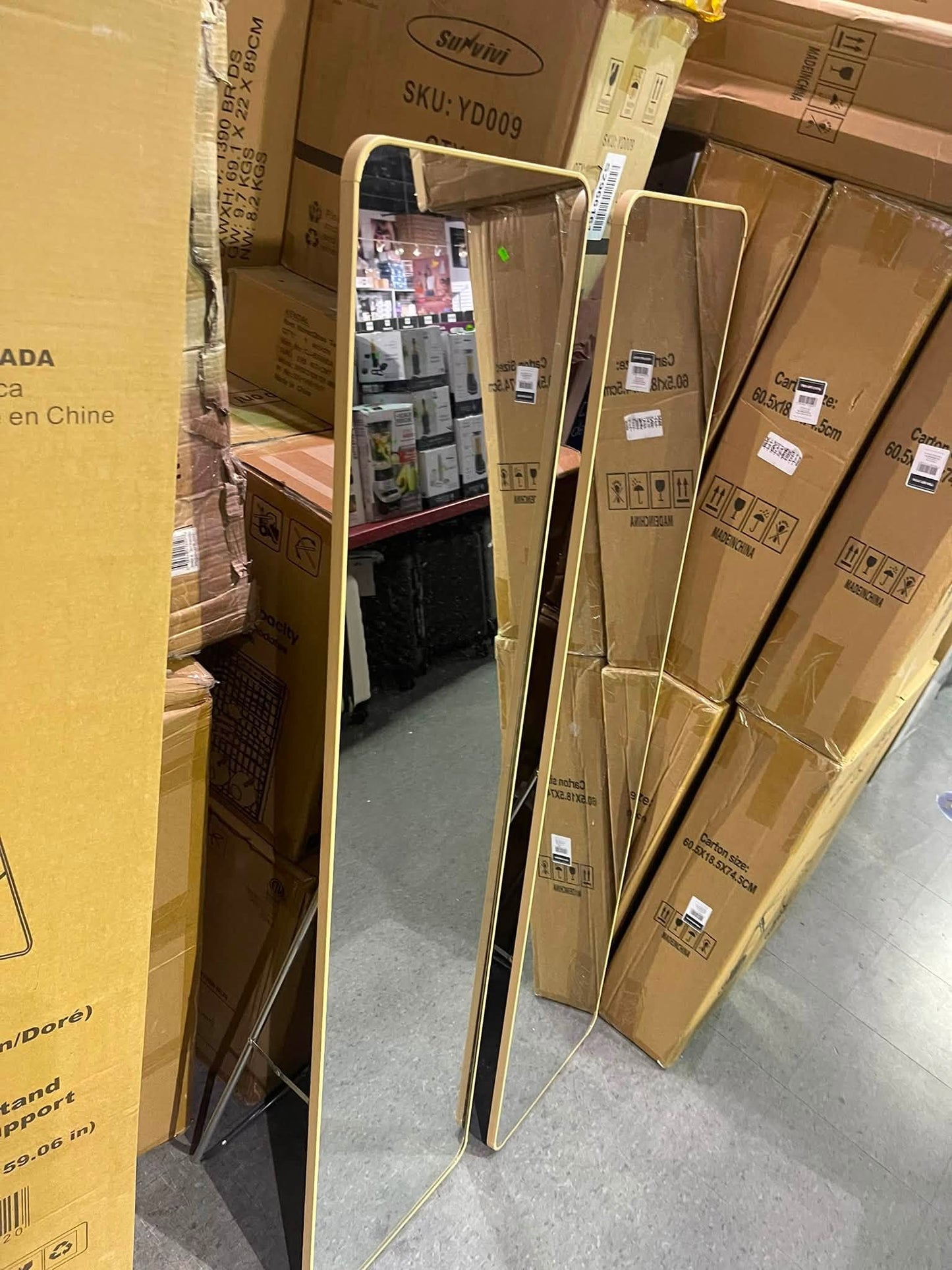 Whole‑Body Stand Mirror – Full Length