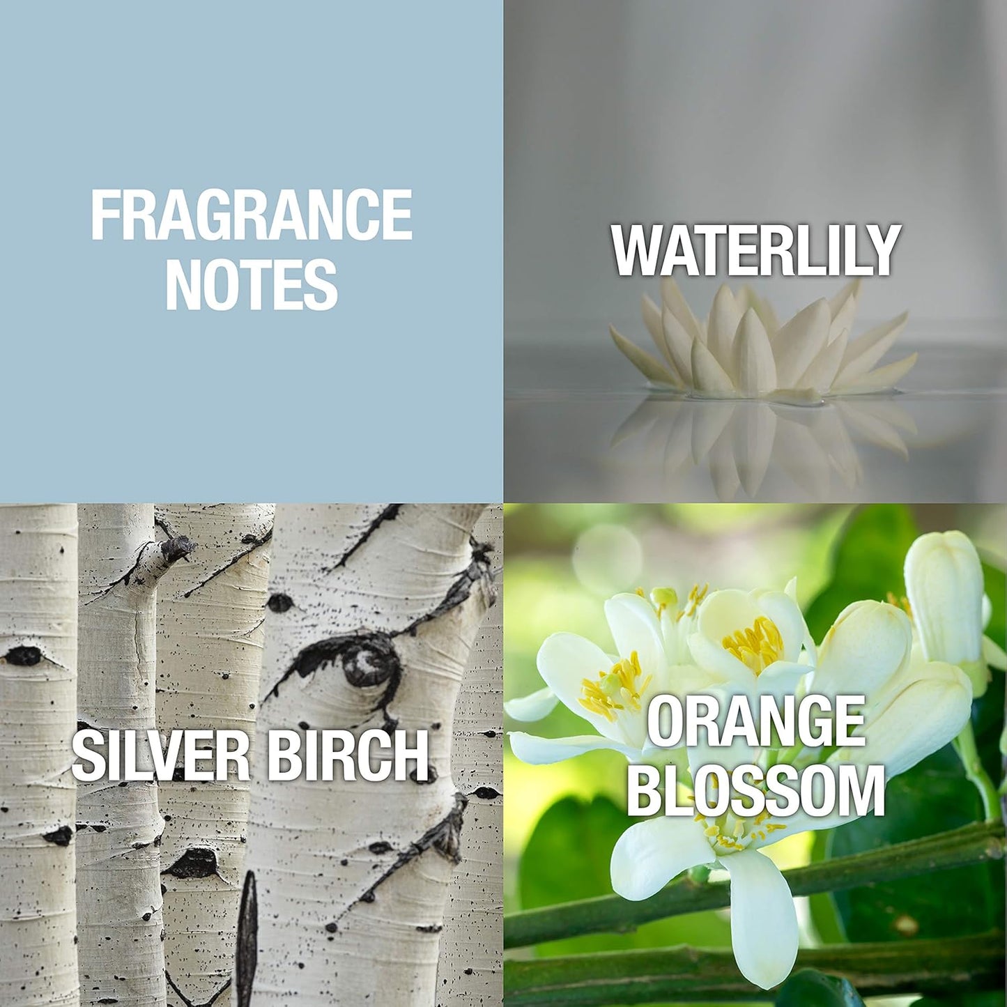 Alfred Sung Shi by Alfred Sung for Women - 3.4 Ounce EDP Spray