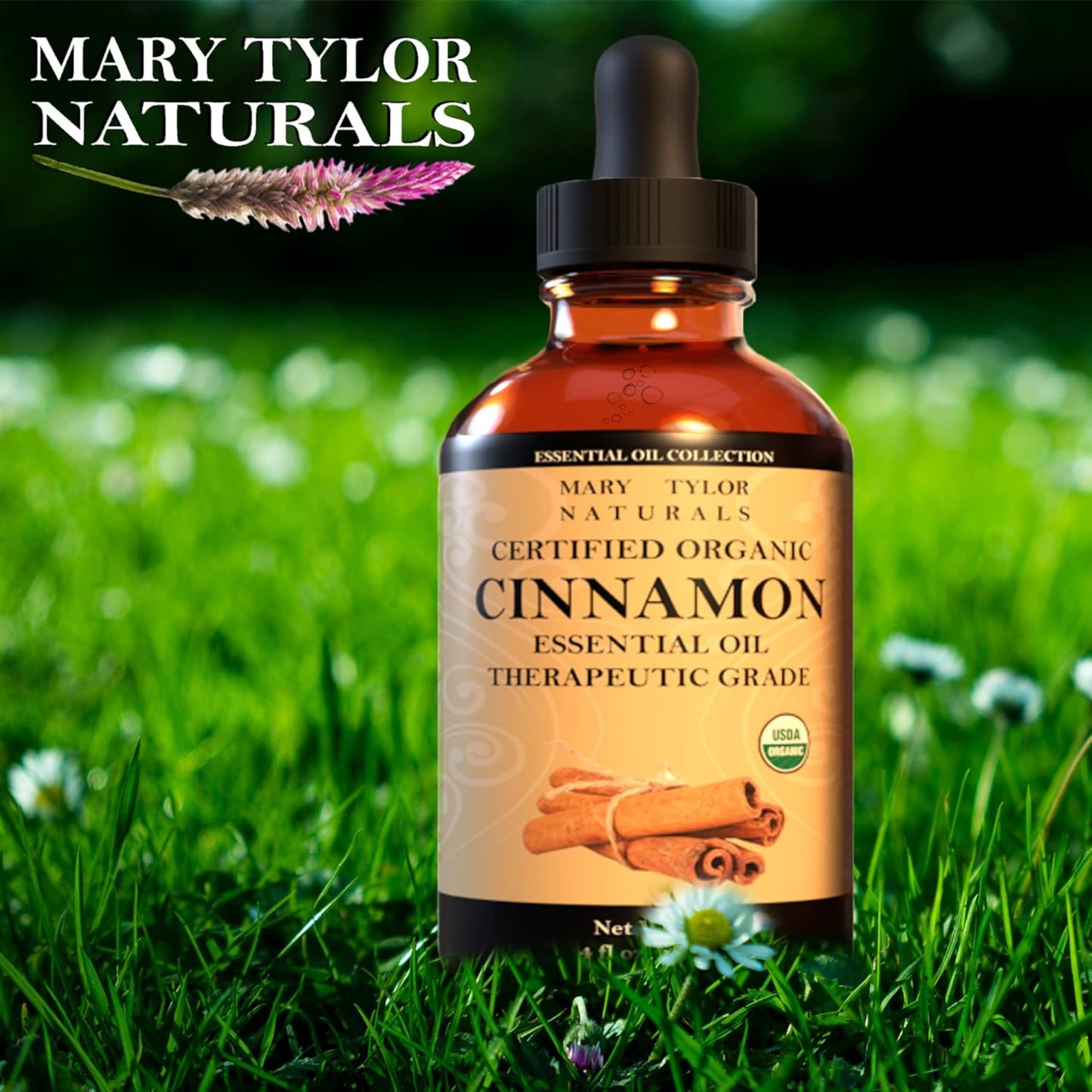 Organic Cinnamon Essential Oil (4 oz)