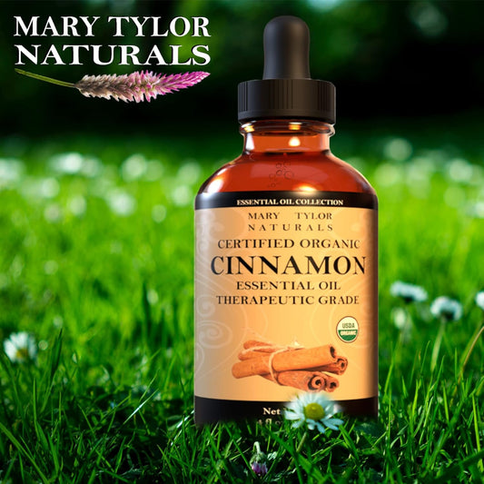 Organic Cinnamon Essential Oil (4 oz)