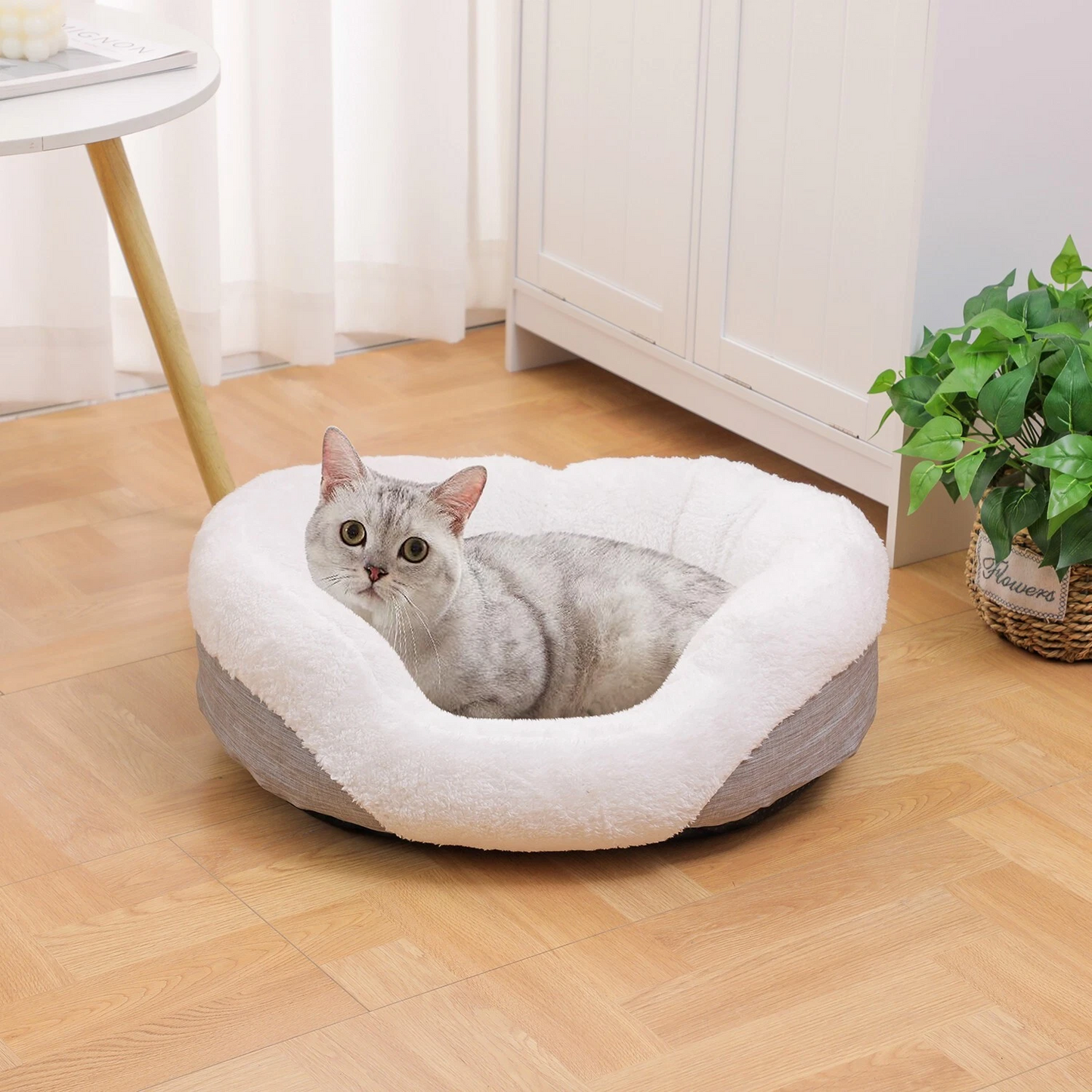 Orthopedic Dog Bed Anti-Slip Bottom Cat Puppy Mat Soft Sofa with