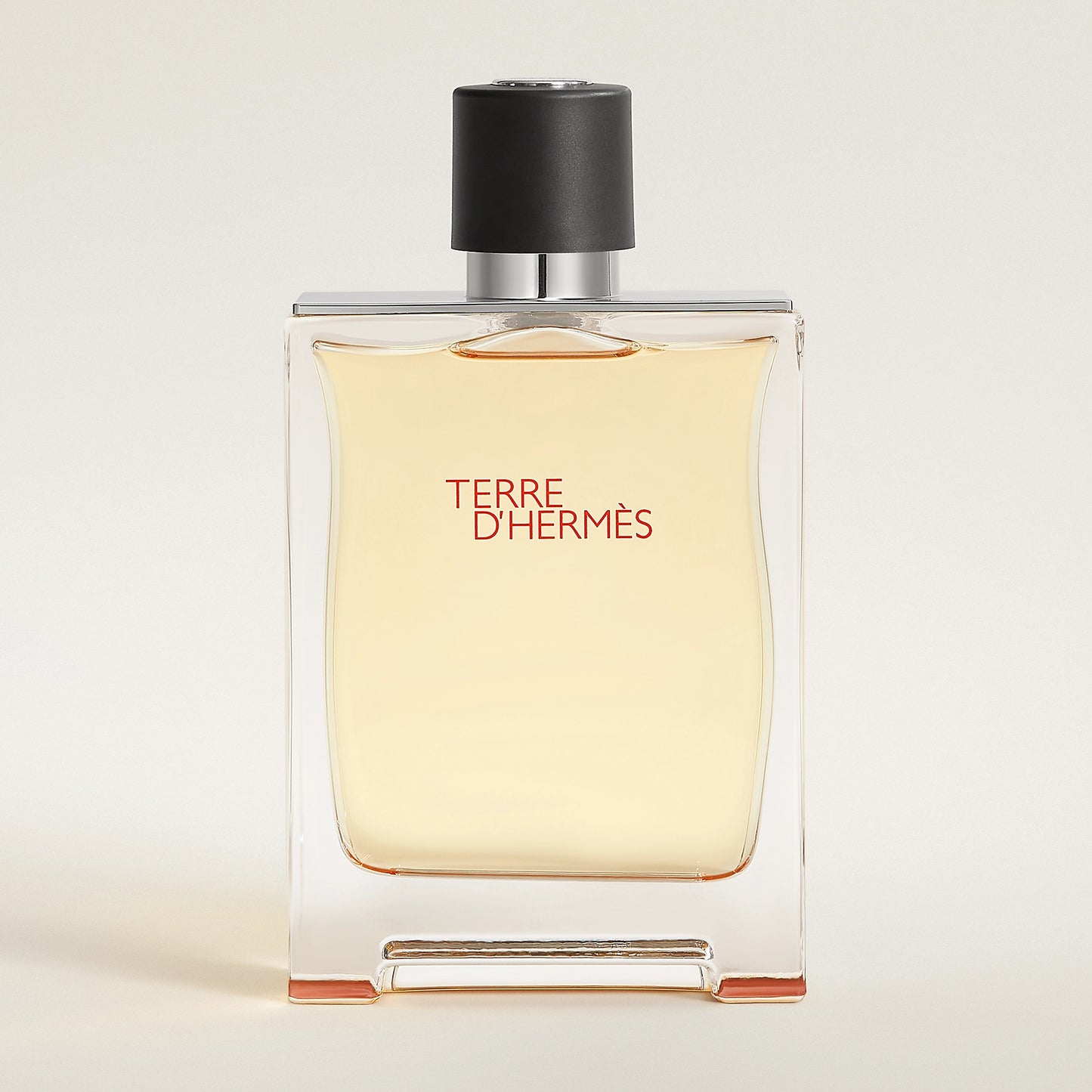 Hermès Terre d’Hermès – EDT 100 ml (Men)